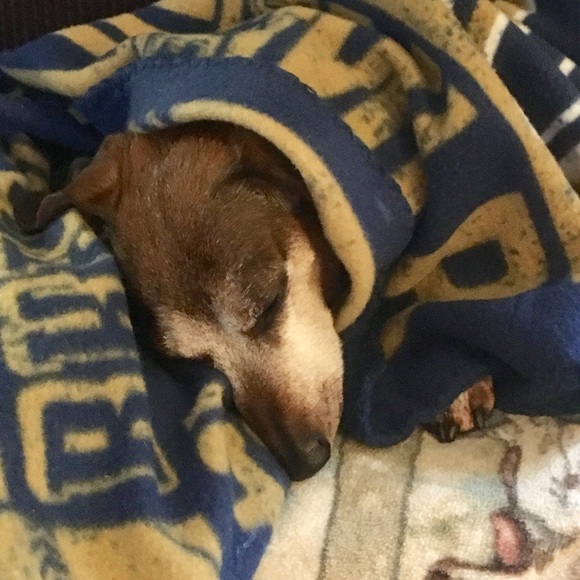 Bundle Up! - Picture 5 of 8